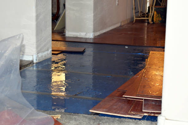 Professional Basement Flood Cleanup technician working in Fairfax, MN